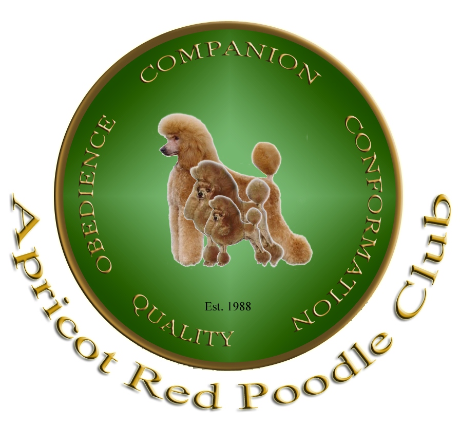 Apricot Red Poodle Club